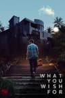 What You Wish For